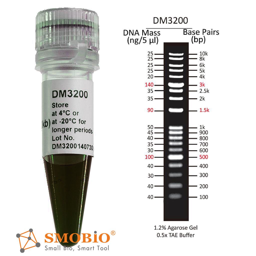 [DM3200] ExcelBand™ 1KB (0.1-10 kb)加強型DNA分子量標記, 500 μl