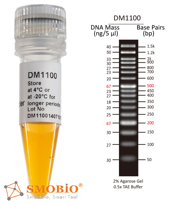 [DM1100] ExcelBand™ 50 bp DNA分子量標記, 500 μl