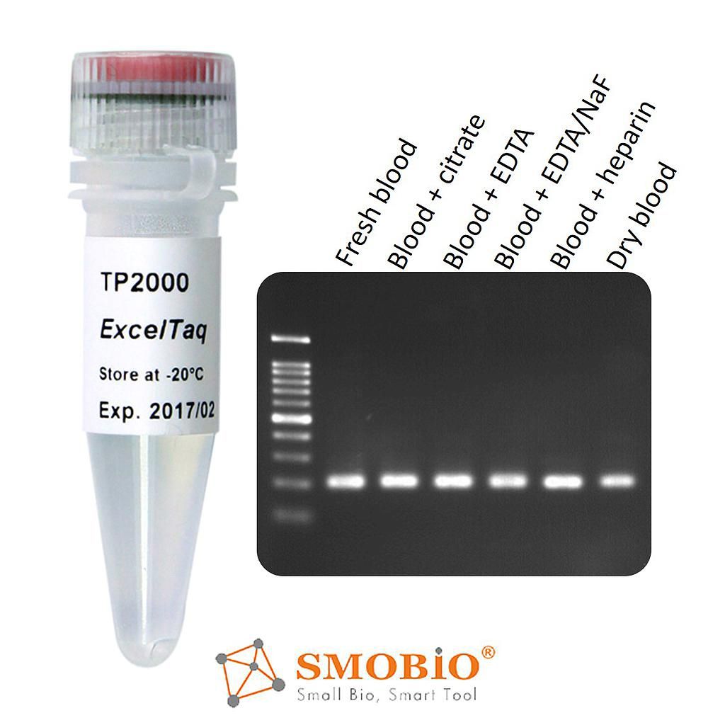 [TP2000] ExcelTaq™全血專用DNA聚合酶, 5 U/μl, 500 U
