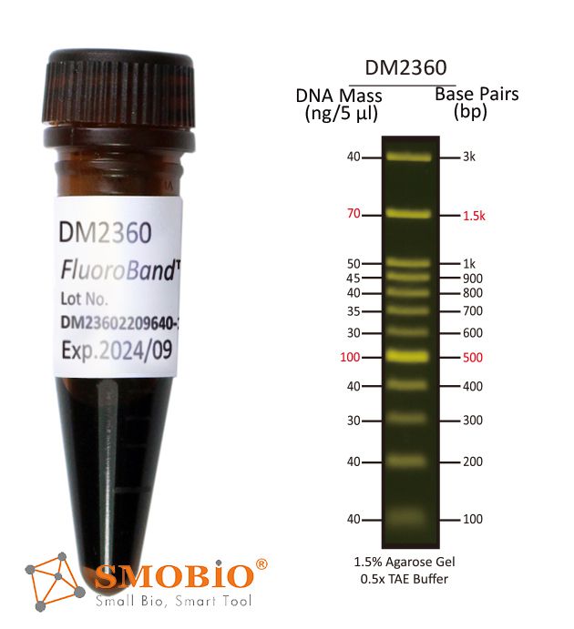 [DM2360] FluoroBand™ 100 bp+3K預染螢光DNA分子量標記, 500 μl