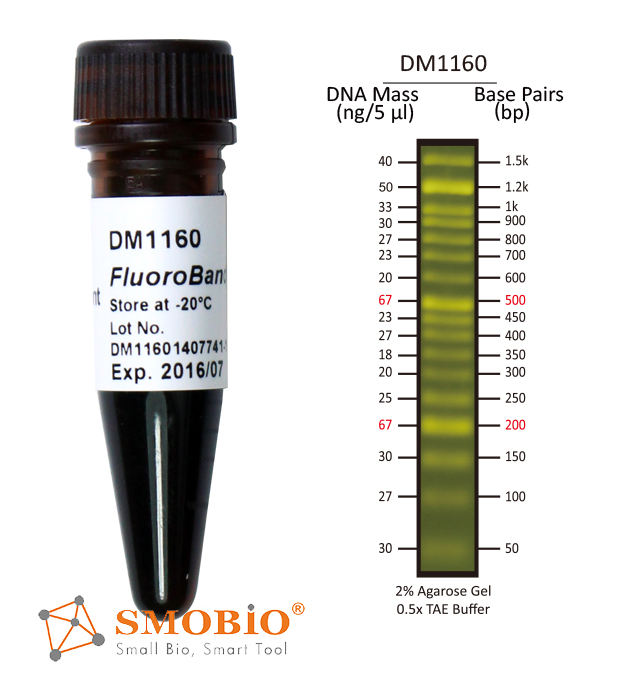 [DM1160] FluoroBand™ 50 bp預染螢光DNA分子量標記, 500 μl