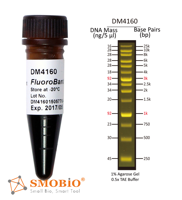 [DM4160] FluoroBand™ XL 25kb廣範圍預染螢光DNA分子量標記, 500 μl