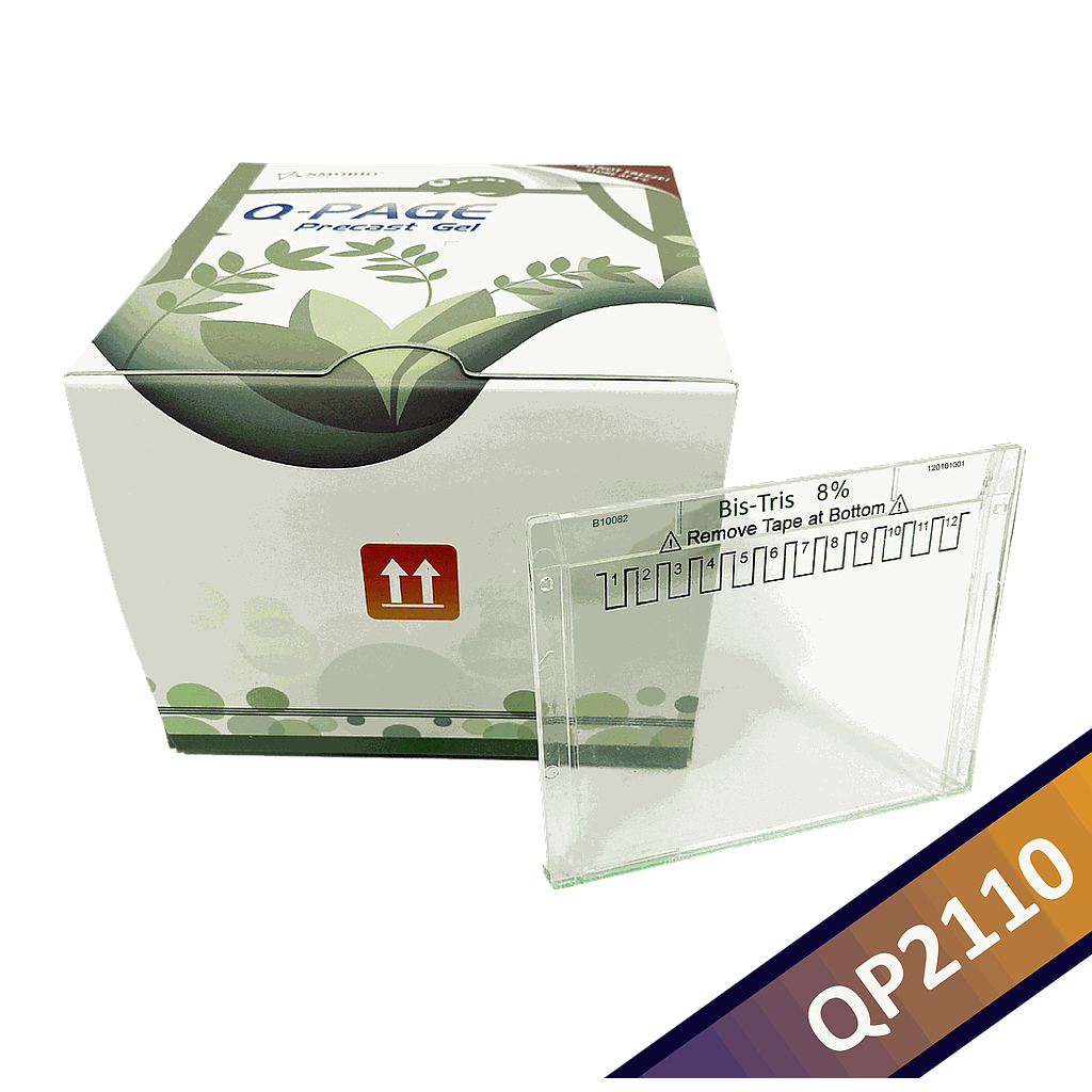 [QP2110] Q-PAGE™ Bis-Tris預鑄膠(小型, 12孔, 8%), 10片