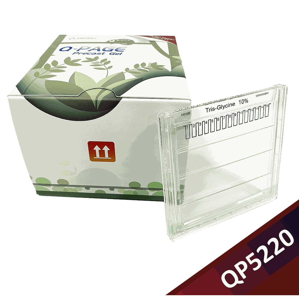 [QP5220] Q-PAGE™ TGN預鑄膠(中型, 15孔, 10%), 10片