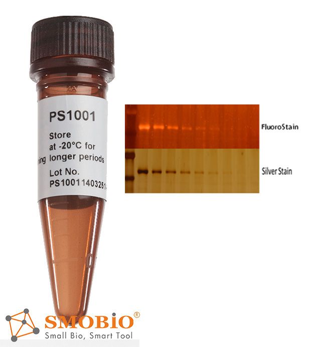 [PS1001] FluoroStain™ SDS-PAGE蛋白質專用紅色螢光染劑, 1 ml x 5