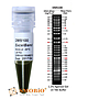 [DM5100] ExcelBand™ (50 bp-25 kb)超範圍 DNA分子量標記, 500 μl