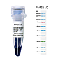 [PM2510] ExcelBand™增強型三彩蛋白質常規分子量標記, 250 μl x 2