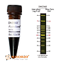 [DM2360] FluoroBand™ 100 bp+3K預染螢光DNA分子量標記, 500 μl
