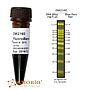 [DM2160] FluoroBand™ 100 bp預染螢光DNA分子量標記, 500 μl