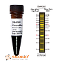 [DM4160] FluoroBand™ XL 25kb廣範圍預染螢光DNA分子量標記, 500 μl