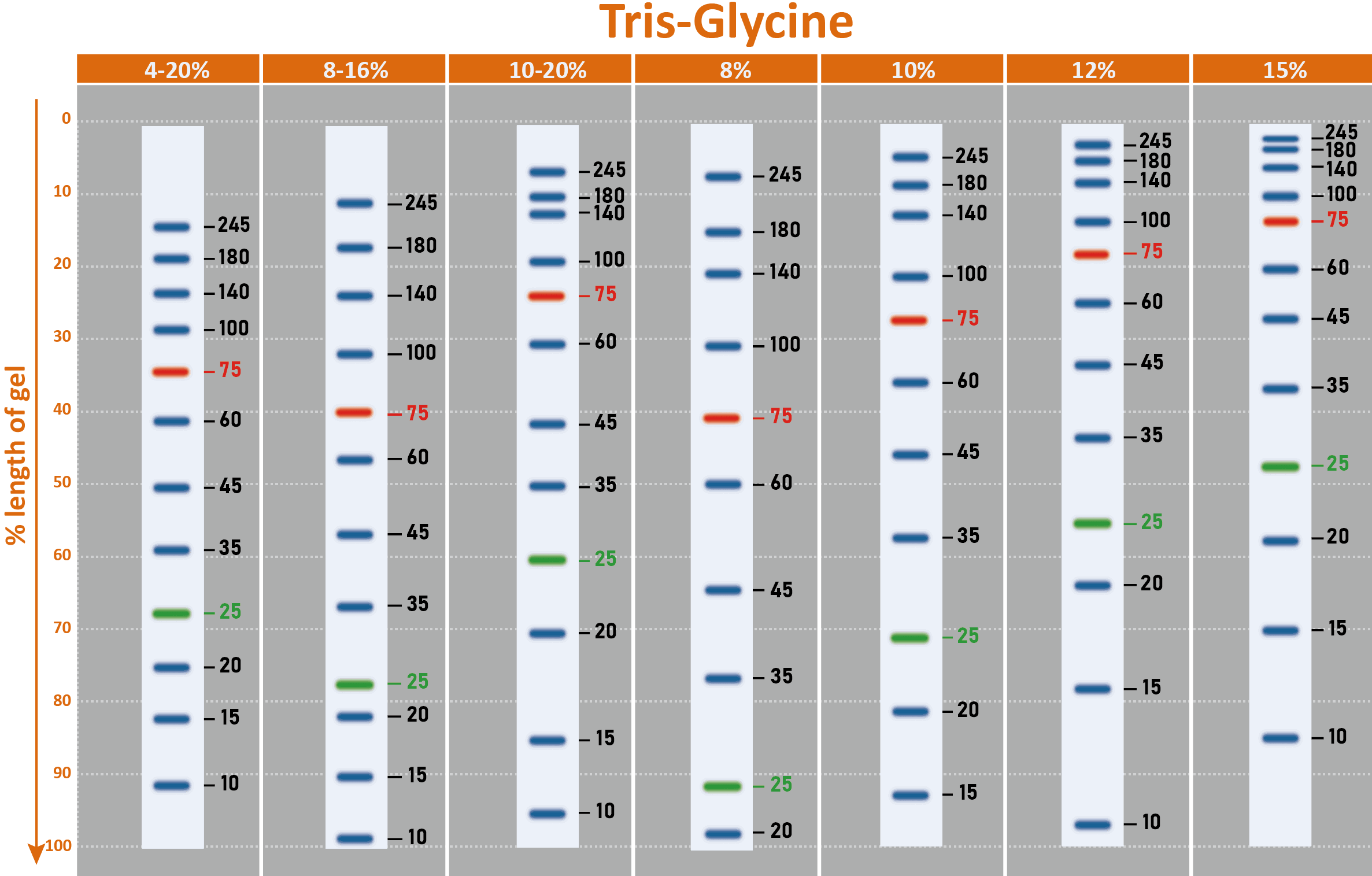 ExcelBand™ Enhanced 3-color High Range Protein Marker, 250 μl x 2