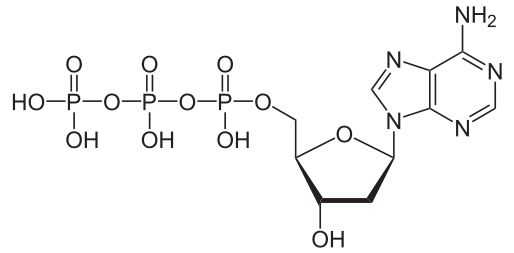 SMOChem™ dATP solution - Sodium Salt (100 mM), 25 ml