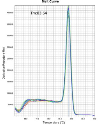 ExcelTaq™ 2X Q-PCR Master Mix (SYBR, no ROX), 200 RXN