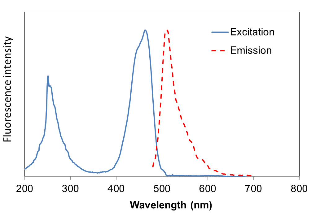 FluoroVue™ Nucleic Acid Gel Stain (10,000X), 500 μl