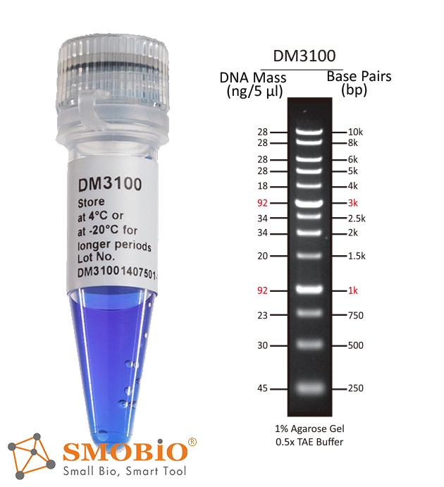 [DM3100] ExcelBand™ 1KB (0.25-10 kb) DNA分子量標記, 500 μl