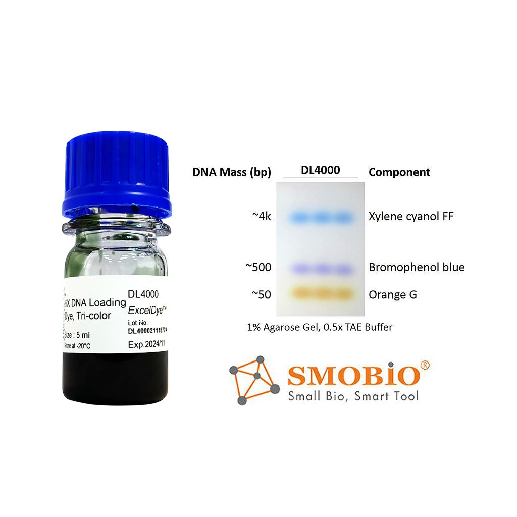 [DL4000] ExcelDye™六倍DNA即用型三彩上樣指示染劑, 5 ml x 2