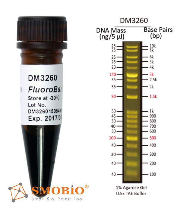 [DM3260] FluoroBand™ 1KB加強型(0.1-10 kb)預染螢光DNA分子量標記, 500 μl