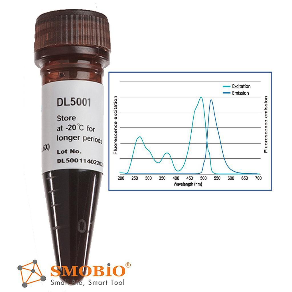 [DL5001] FluoroDye™藍光/紫外光雙用六倍螢光DNA無毒上樣指示染劑, 1 ml x 5