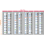 ExcelBand™ 3-color Broad Range Protein Marker, 250 μl x 2